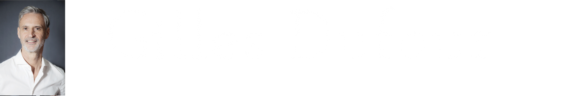 Logo Gilles Dufour